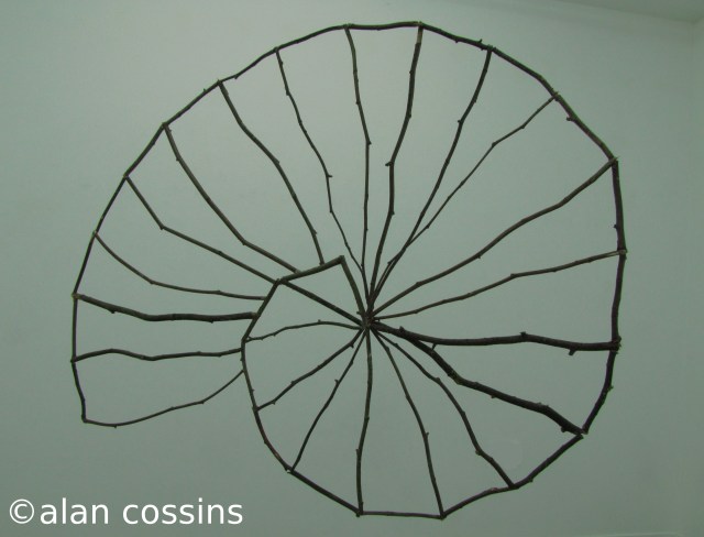 Pythagorean Twig Spiral